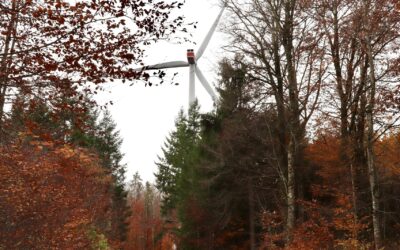 Ausflug Verenafohren