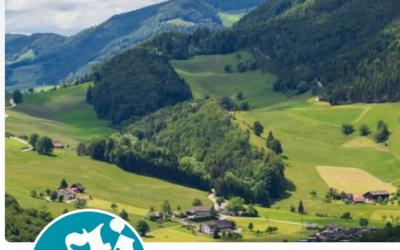 Volksstimme: Interview Markus Stokar