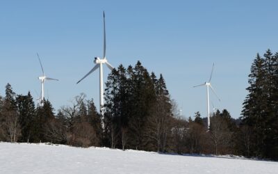 Drei Mal Rückenwind I – Nationaler Verein für den Abstimmungskampf